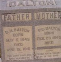 D H Dalton D H Dalton