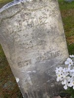 D. H. Magee