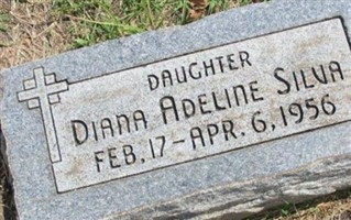 Diana Adeline Silva Diana Adeline Silva