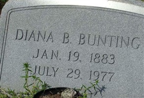 Diana Briggs Bunting