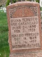 Diana Catanzaro Tedesco