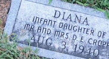 Diana Cropp Diana Cropp