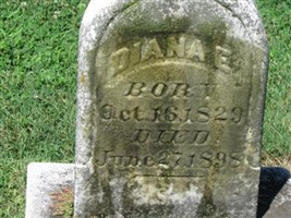 Diana E. Sager