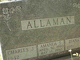 Diana L Allaman Diana L Allaman