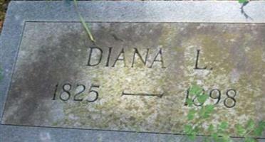 Diana L Morgan