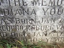 Diana Tucker Young