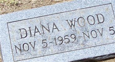 Diana Wood