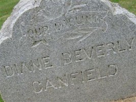 Diane Beverly Canfield Diane Beverly Canfield