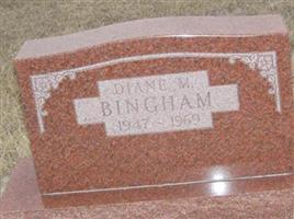 Diane M Bingham
