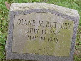 Diane M. Buttery