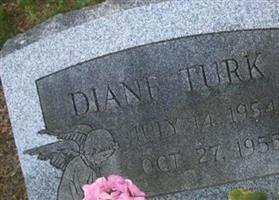 Diane Turk