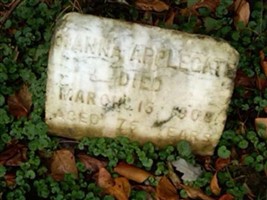 Dianna Applegate