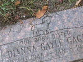 Dianna Gayle Gage