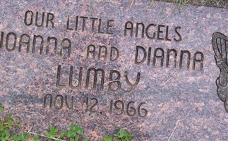 Dianna Lumby Dianna Lumby
