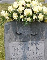 Dianna Lynne Franklin