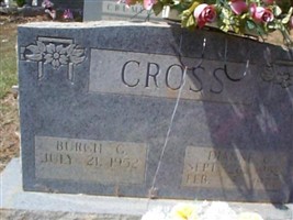 Dianne Cronan Cross Dianne Cronan Cross
