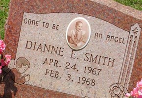 Dianne E Smith