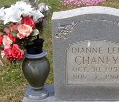 Dianne Lee Chaney
