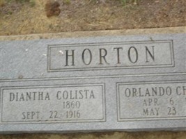 Diantha Colista Mnu Horton