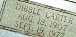 Dibble Carter Hilton