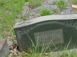 Dicey Love Goins Dicey Love Goins