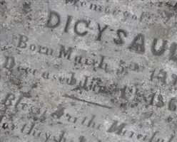 Dicy Saul Dicy Saul