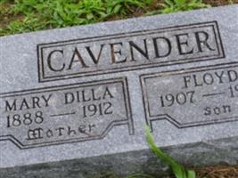 Dillie Mary Jane Biswell Cavender