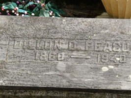 Dillon D. Peacock