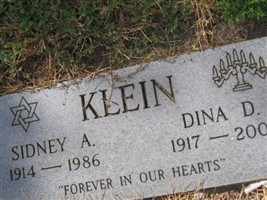 Dina D Klein Dina D Klein