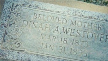 Dinah Ann Jones Westover