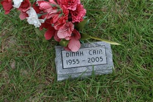 Dinah Cain Dinah Cain
