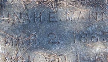 Dinah E. Mann Dinah E. Mann