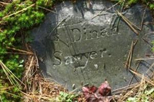 Dinah Farrar Sawyer