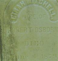 Dinah Mitchell Osborn