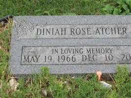 Diniah Rose Atcher Diniah Rose Atcher