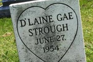 D'Laine Gae Strough