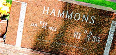D. N. Hammons