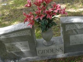 Doc W. Giddens