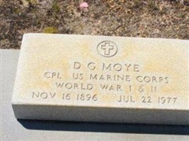 Doctor G Moye