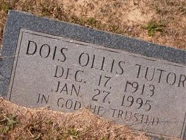 Dois Ollis Tutor Dois Ollis Tutor