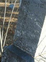 Dollie Calhoun Venable