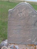 Dollie Ethel Goolsby Allum