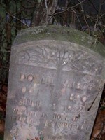 Dollie McBee