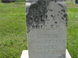 Dolly G Miller Dolly G Miller