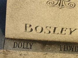 Dolly T Bosley