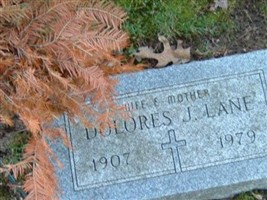Dolores J Lane Dolores J Lane