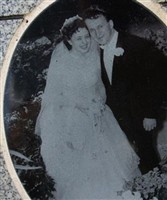 Dolores T. Radzitowski Dolores T. Radzitowski