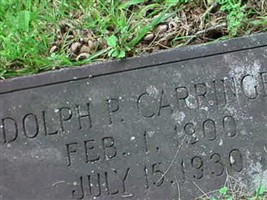 Dolph P. Carringer