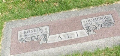 Domenic Ali Domenic Ali
