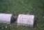 Domenic P. Galbo Domenic P. Galbo